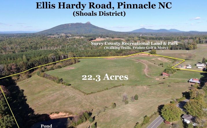 Pictures of Land property located at 481 Ellis Hardy Road, Pinnacle, NC 27043 for sales - image #1