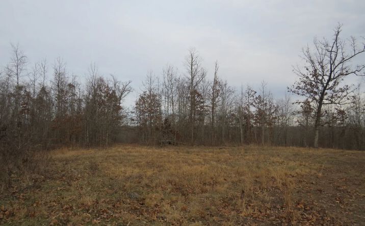 Pictures of Land property located at County Road 422, Ellington, MO 63638 for sales - image #1