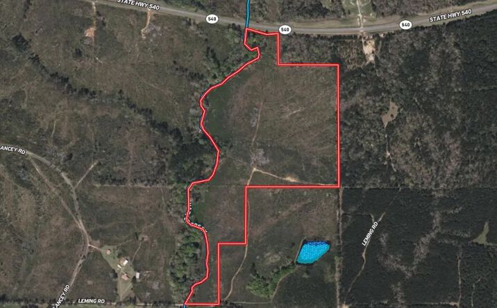 Pictures of Land property located at Leming Road, 69640, MS 39044 for sales - image #1