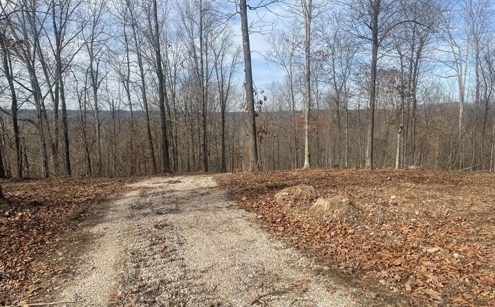 Pictures of Land property located at Highway W, Poplar Bluff, MO 63901 for sales - image #1