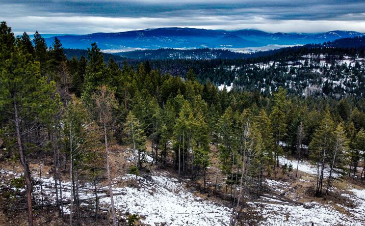 Pictures of Land property located at TBD Copper Road, Kalispell, MT 59901 for sales - image #1