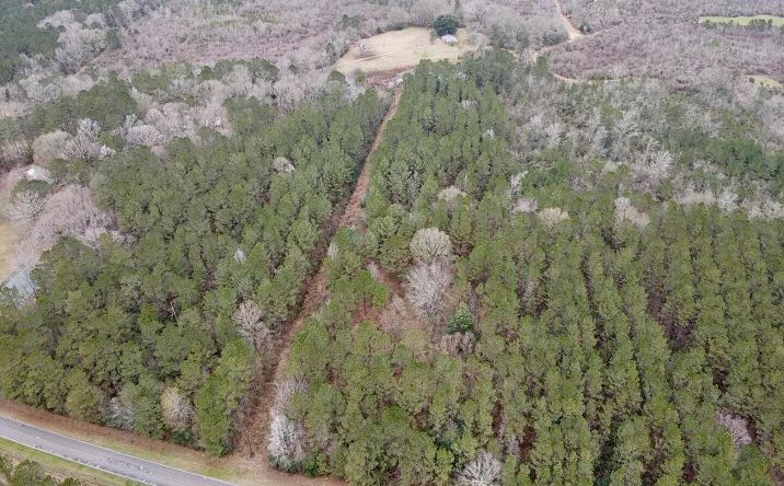 Pictures of Land property located at Magnolia Progress Road, 70065, MS 39652 for sales - image #1
