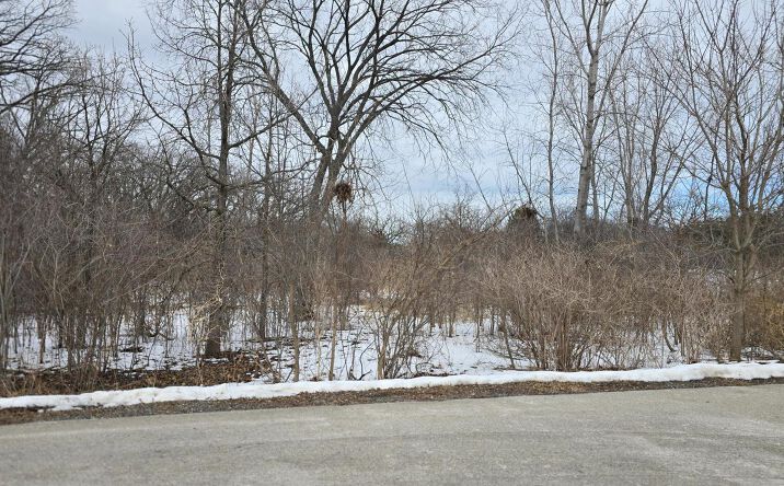 Pictures of Land property located at 13472 W Hart Street, Wadsworth, IL 60083 for sales - image #1