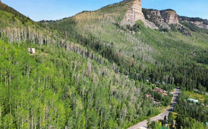 Pictures of Land property located at 350 Falcon Ridge 151, Durango, CO 81301 for sales - image #1