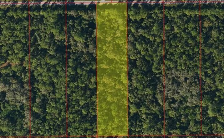 Pictures of Land property located at TBD 38th Ave SE, Naples, FL 34117 for sales - image #1