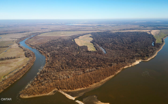 Pictures of Land property located at Island 26 MS River, Ripley, TN 38063 for sales - image #1