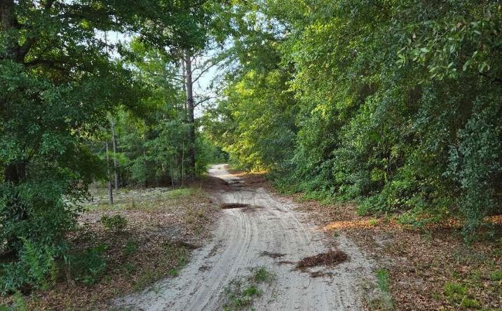 Pictures of Land, Special Purpose property located at 1327 Charlies Loop, Williston, SC 29853 for sales - image #1