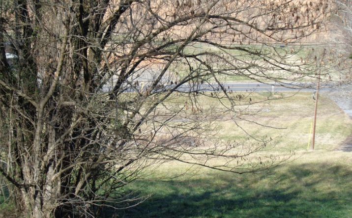 Pictures of Land property located at 1504 E Main St, Rogersville, TN 37857 for sales - image #1