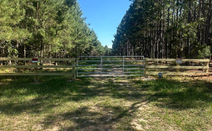 Pictures of Land property located at Dorsey Clark Rd, Sylvania, GA 30467 for sales - image #1