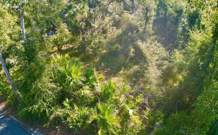 Pictures of Land property located at TBD Colson St W, Perry, FL 32348 for sales - image #1