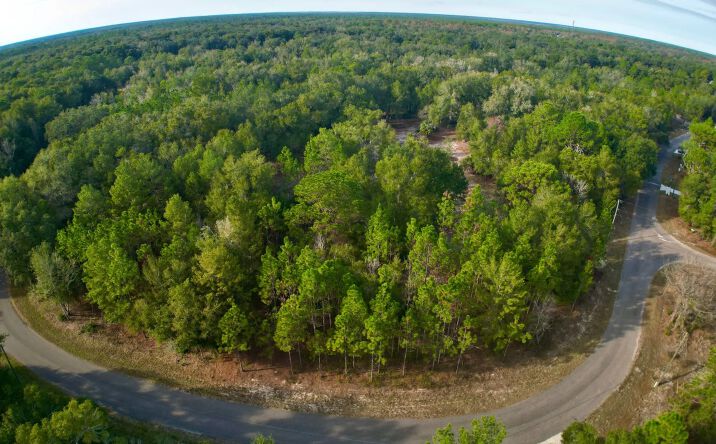 Pictures of Land property located at TBD Bay Court Pass, Ocklawaha, FL 32179 for sales - image #1