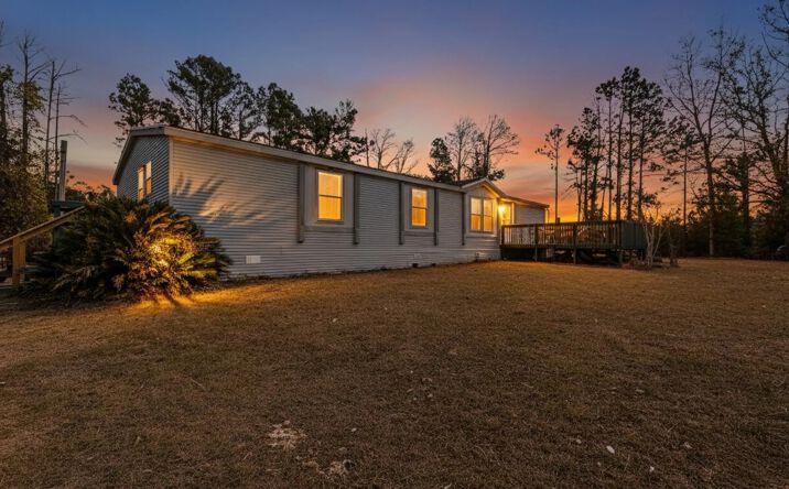 Pictures of Land property located at 8803 NE Rocky Ford Rd, Pinetta, FL 32350 for sales - image #1