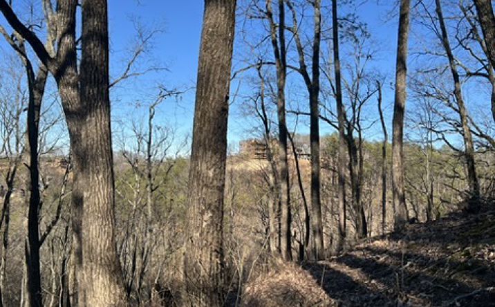 Pictures of Land property located at 2353 Headrick Lead, Sevierville, TN 37862 for sales - image #1
