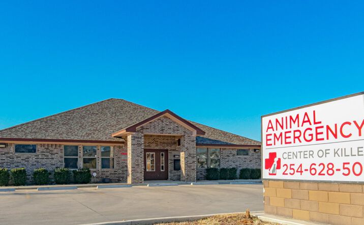 Pictures of Office, Retail property located at 2808 Illinois Ave, Killeen, TX 76543 for sales - image #1