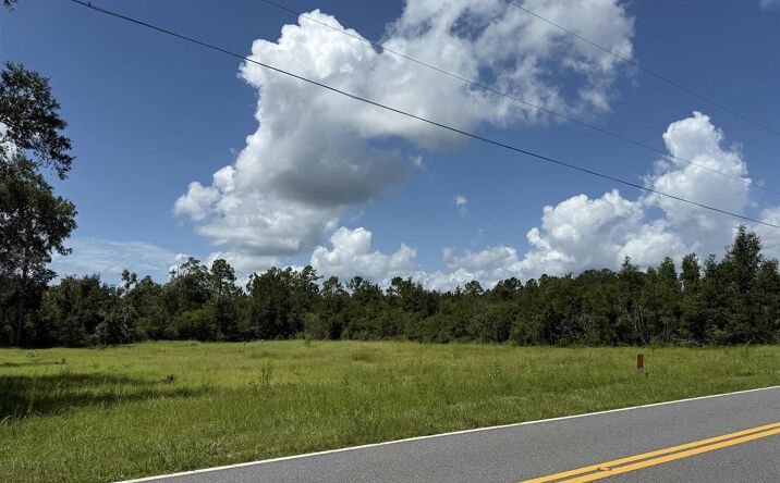 Pictures of Land property located at 179 Council Moore Rd, Crawfordville, FL 32327 for sales - image #1