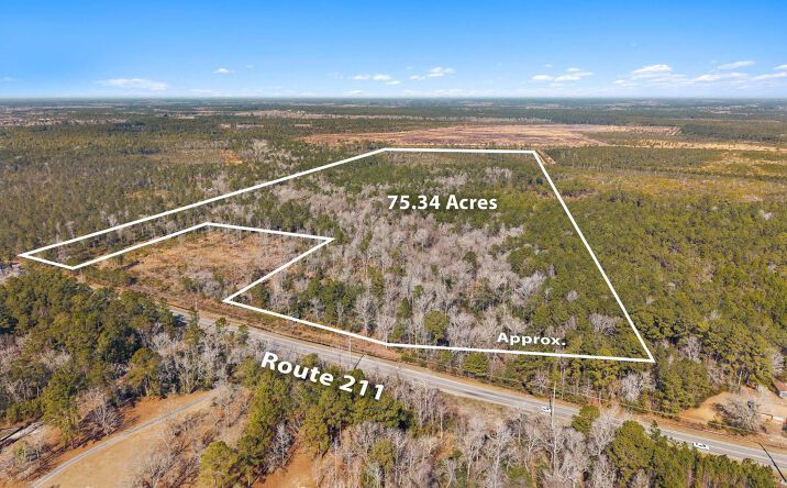 Pictures of Land property located at Strategic HWY 211, Bolivia, NC 28422 for sales - image #1