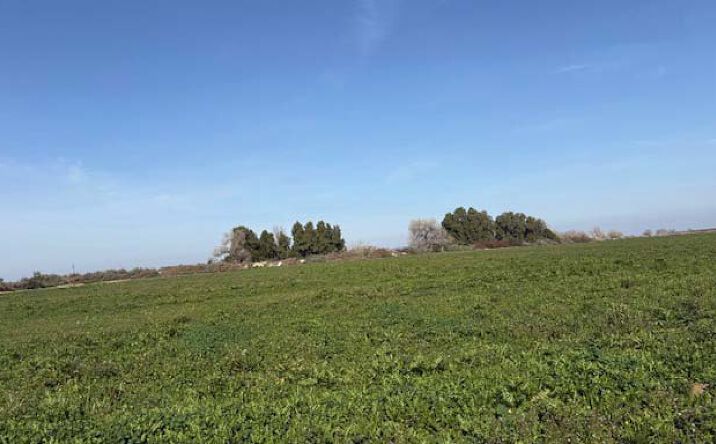 Pictures of Land property located at West of Mendota - Jerrold Ave, Mendota, CA 93640 for sales - image #1