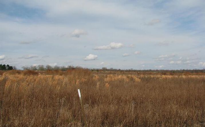 Pictures of Land property located at 0 Cannery Rd, Dalzell, SC 29040 for sales - image #1