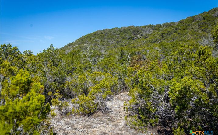 Pictures of Land property located at 837 Crystal Peak Dr, Fischer, TX 78623 for sales - image #1