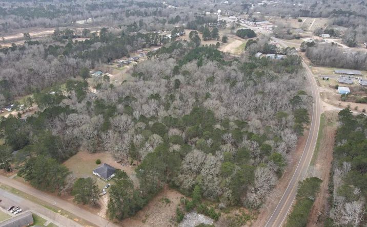 Pictures of Land property located at Hwy 24, 69546, MS 39638 for sales - image #1