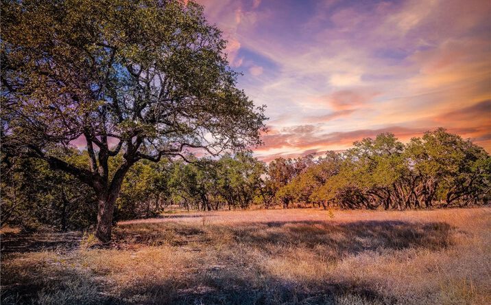 Pictures of Land property located at 34760 Carries Creek Dr, Bulverde, TX 78163 for sales - image #1