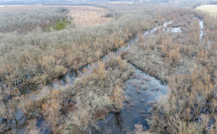 Pictures of Land property located at TBD Butler Pool Rd, Idabel, OK 74745 for sales - image #1