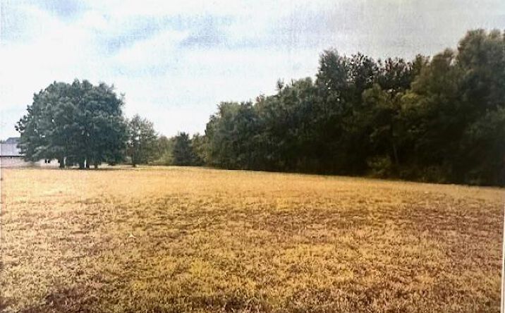image of property at 2093 E COUNTY HIGHWAY 450 Sikeston MO 63801-8238