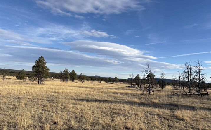 Pictures of Land property located at 20 Acres Falls Creek Meadow County Rd A16c Road, Mineral Hill, NM 87701 for sales - image #1