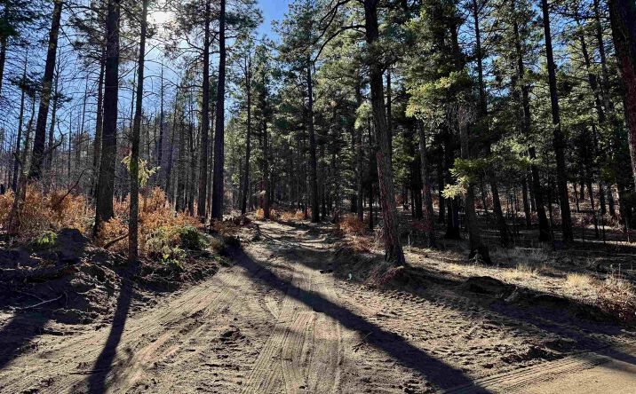 Pictures of Land property located at 4.41 W Canyon Loop, Mora, NM 87732 for sales - image #1