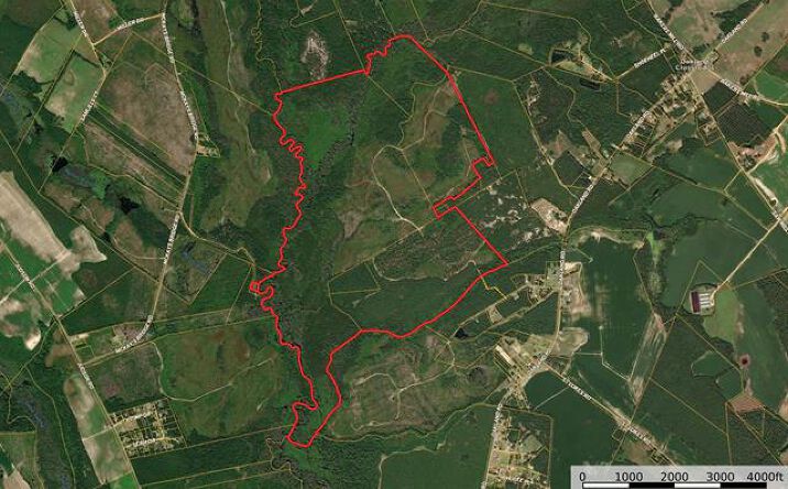 Pictures of Land property located at 0 Gully Branch Rd, Dillon, SC 29536 for sales - image #1