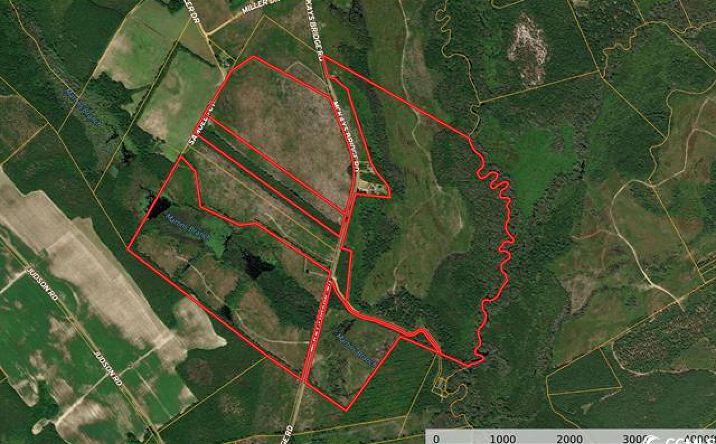 Pictures of Land property located at McKays Bridge Rd, Dillon, SC 29536 for sales - image #1