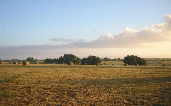 Pictures of Retail, Land property located at 15657 FM86, Dale, TX 78616 for sales - image #1