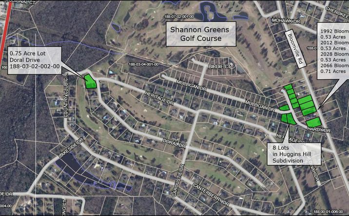 Pictures of Land property located at Bloomville Rd, Manning, SC 29102 for sales - image #1