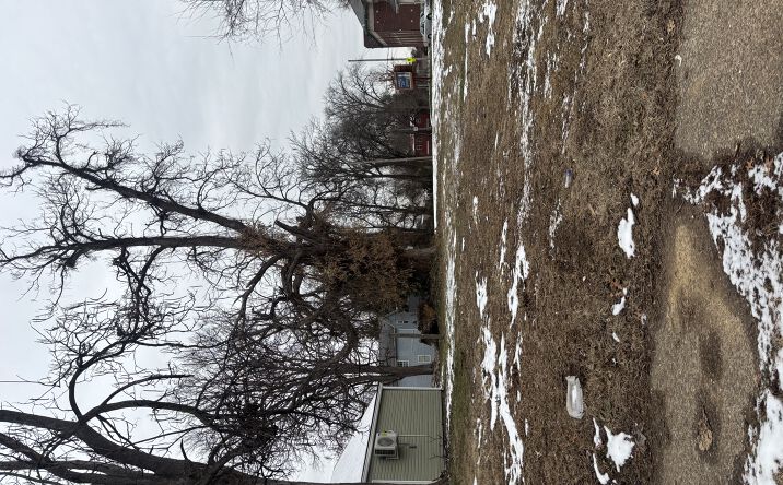 Pictures of Land property located at 2515 Woodland Ave, Louisville, KY 40210 for sales - image #1