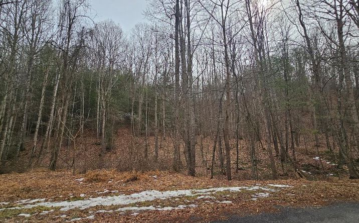 Pictures of Land, Multifamily property located at TBD Murray Rd., Marion, VA 24354 for sales - image #1