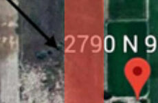 29838274