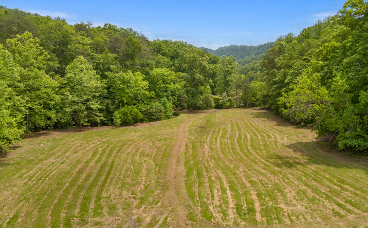Pictures of Land property located at 275 Little Horn Creek-Jinks Rd, Irvine, KY 40336 for sales - image #1