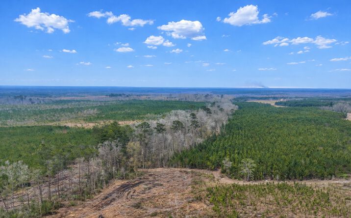 Pictures of Land property located at GA-121, Glennville, GA 30427 for sales - image #1