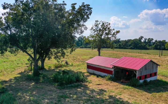 Pictures of Land property located at 11861 Co Rd 160, Boling-Iago, TX 77420 for sales - image #1