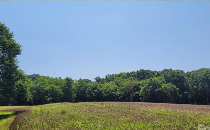 Pictures of Land property located at 7908 Concord Hwy, Monroe, NC 28110 for sales - image #1