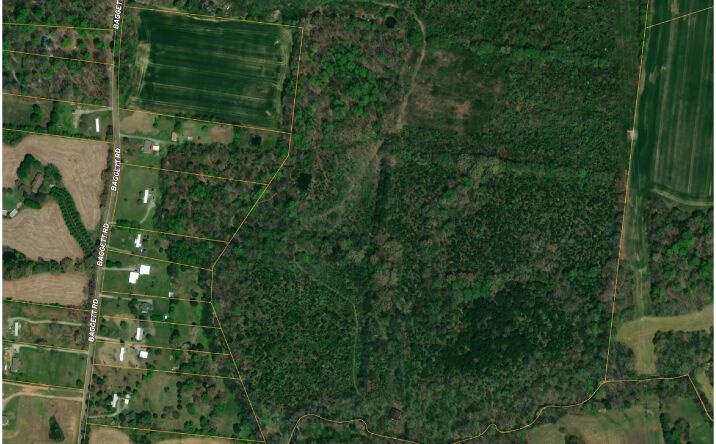 Pictures of Land property located at 3941 Baggett Rd, Springfield, TN 37172 for sales - image #1