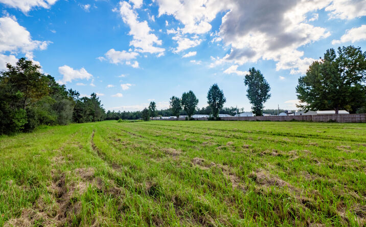 Pictures of Land property located at 22324 US-98, Foley, AL 36535 for sales - image #1