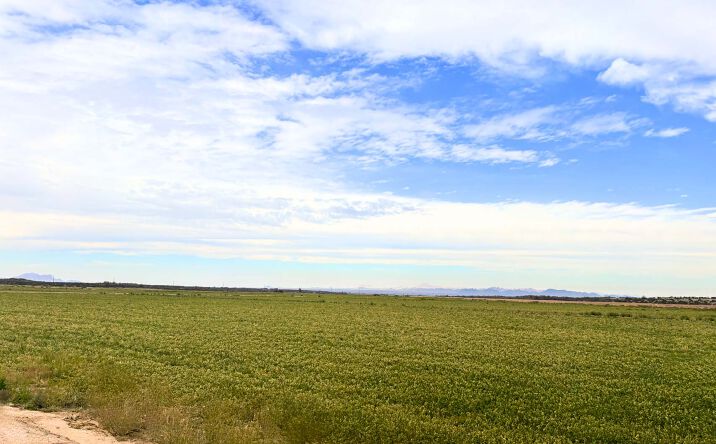 Pictures of Land property located at Corner of Avenue 43 ½ E and County 7th Street, Tacna, AZ 85347 for sales - image #1
