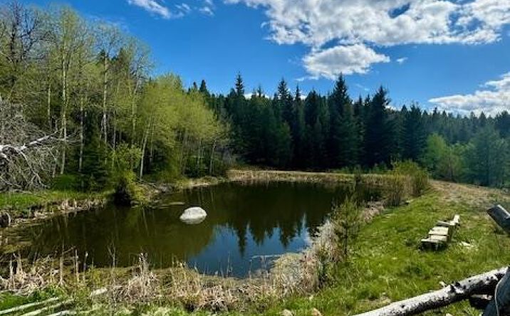 Pictures of Land property located at NHN Perkins Gulch Road, Anaconda, MT 59711 for sales - image #1