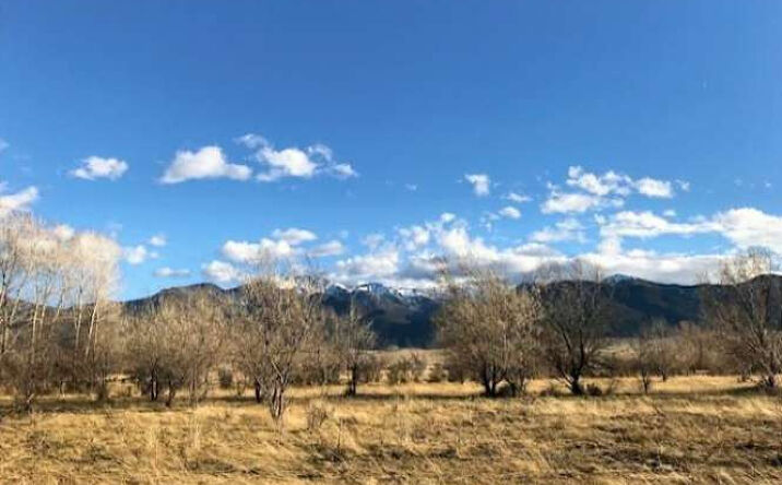 Pictures of Land property located at Carney Lane, Whitehall, MT 59759 for sales - image #1