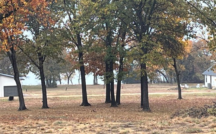 Pictures of Land property located at Texoma View Court, Kingston, OK 73439 for sales - image #1