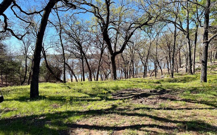 Pictures of Land property located at 17 Waterview Lane, Kingston, OK 73439 for sales - image #1