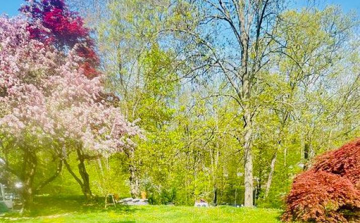 Pictures of Land property located at 4 Waldron Terrace, Ramapo, NY 10974 for sales - image #1