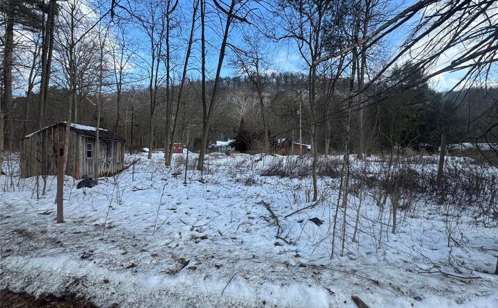 Pictures of Land, Mixed Use property located at 6-8 Grove Street, Deerpark, NY 12729 for sales - image #1