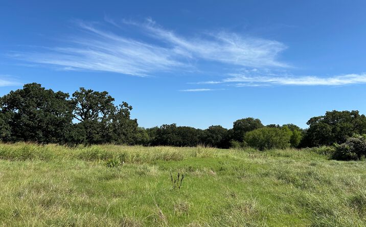 Pictures of Land property located at 6088 US Highway 380, Bridgeport, TX 76426 for sales - image #1
